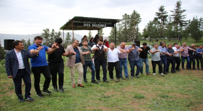 Ayvalı Köyü'nde festival coşkusu 